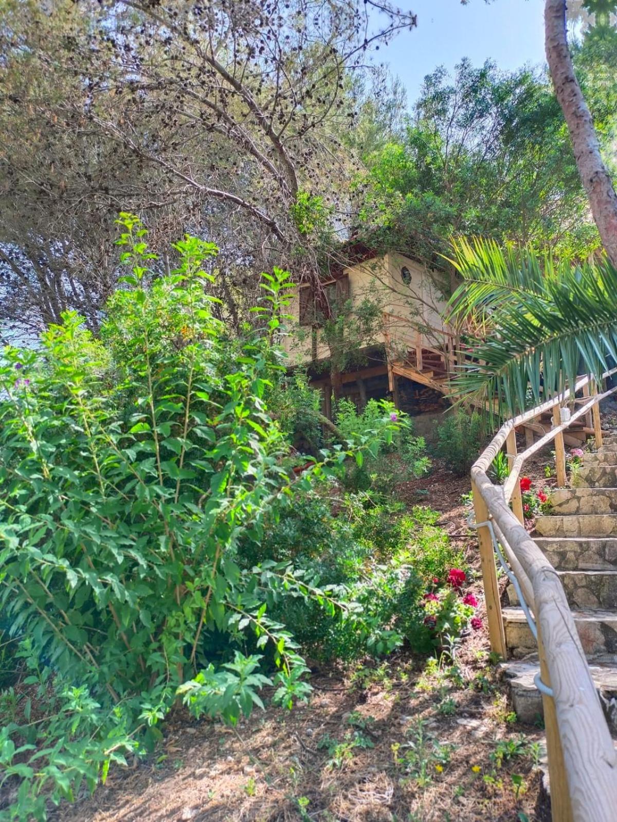 Wild Wild Nest Sperlongaresort Bagian luar foto