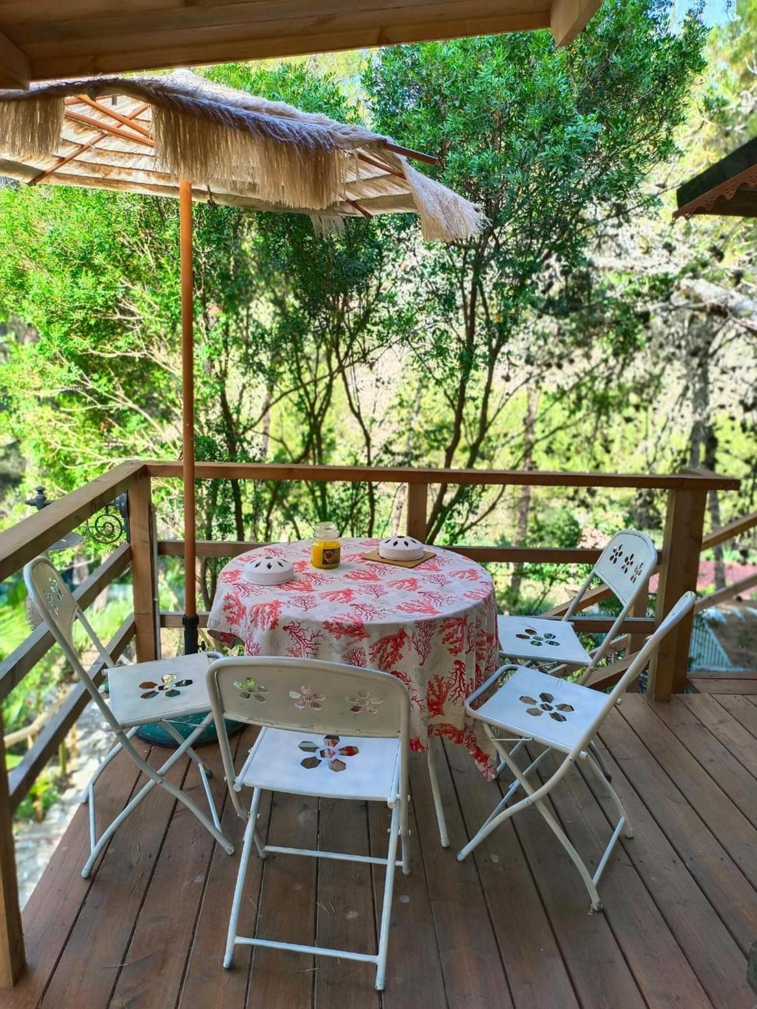 Wild Wild Nest Sperlongaresort Bagian luar foto