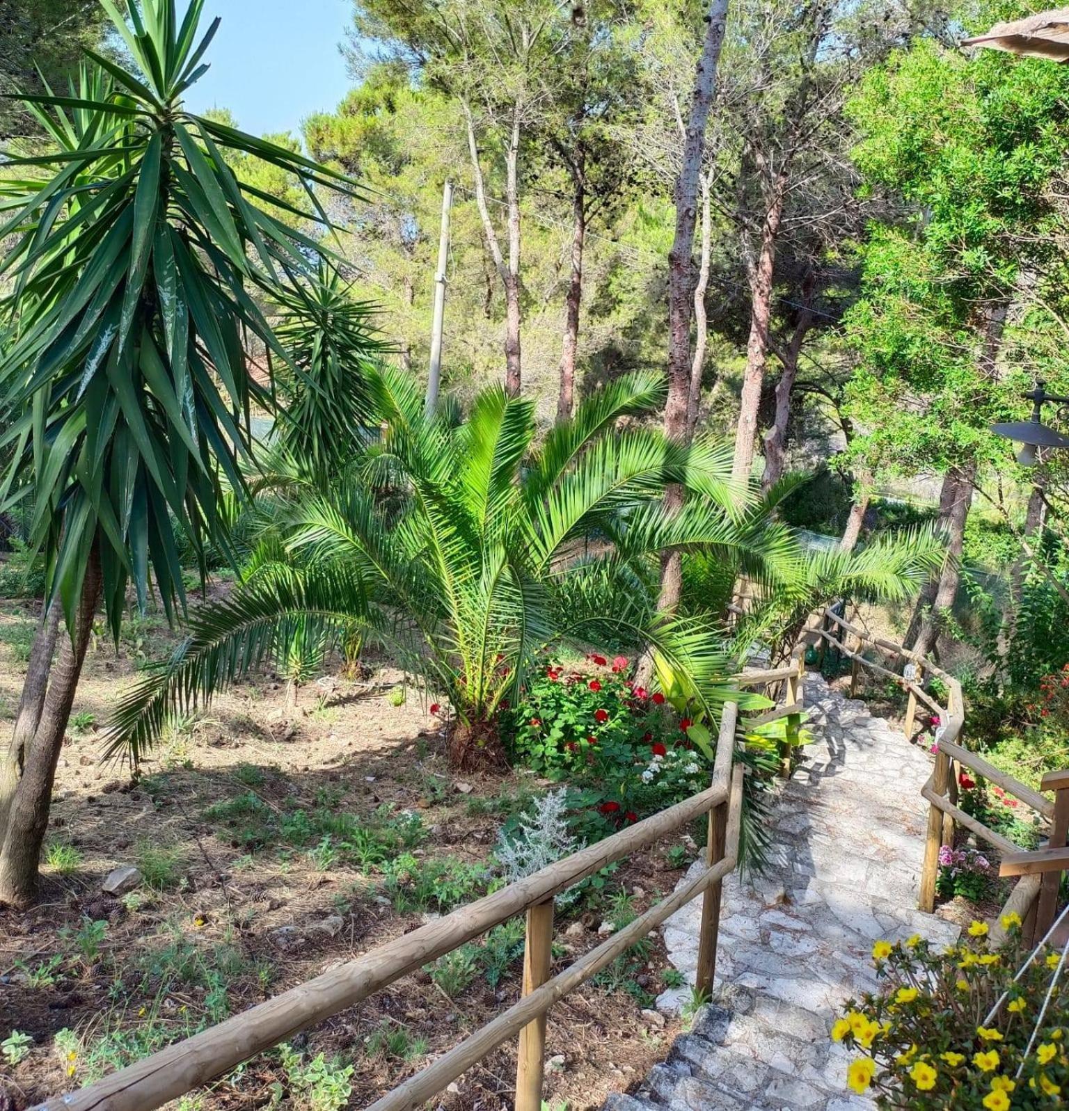 Wild Wild Nest Sperlongaresort Bagian luar foto
